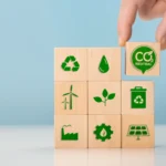 Carbon Neutral vs Net Zero