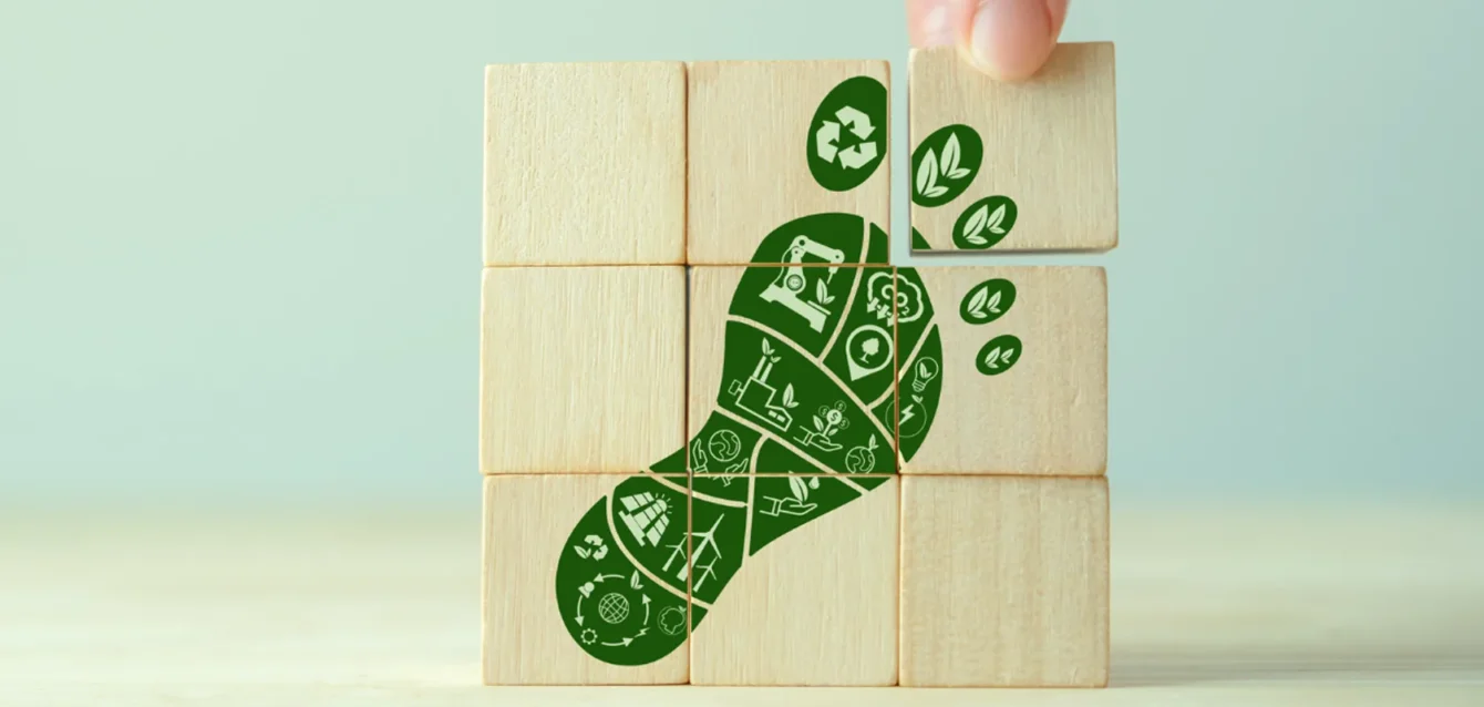 Tips to Reduce Your Company's Carbon Footprint